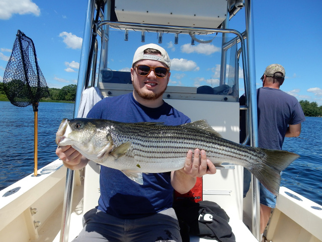 Merrimack striper caught by Shane Sullivan